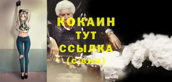гидропоника Богданович