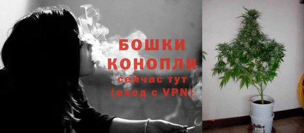 дживик Богородицк