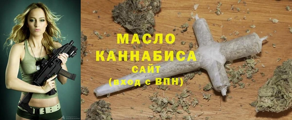 дживик Богородицк