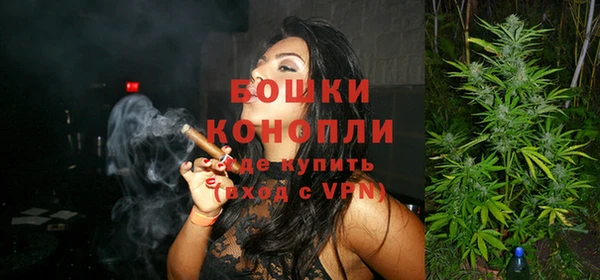 дживик Богородицк