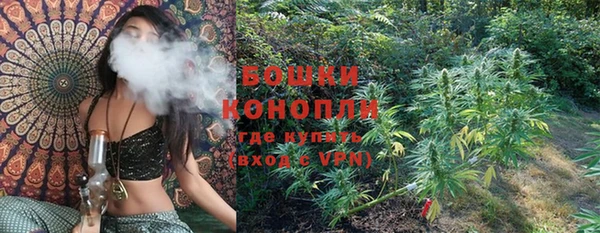 дживик Богородицк